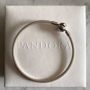 Pandora Moments Mesh Bracelet